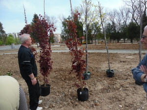 25_04_2015 Създаване на Ротарианска гора от Интеракт,Ротаракт и Ротари Стара Загора
