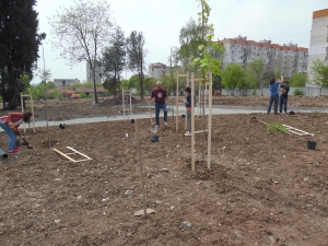 25_04_2015 Създаване на Ротарианска гора от Интеракт,Ротаракт и Ротари Стара Загора