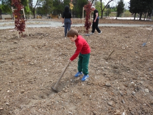 25_04_2015 Създаване на Ротарианска гора от Интеракт,Ротаракт и Ротари Стара Загора