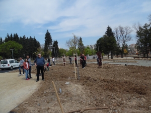 25_04_2015 Създаване на Ротарианска гора от Интеракт,Ротаракт и Ротари Стара Загора