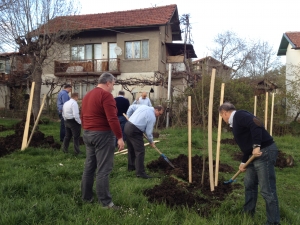 Засаждане дръвчета в парка пред детската градина