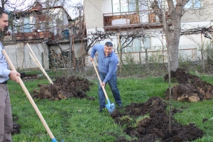 Засаждане дръвчета в парка пред детската градина