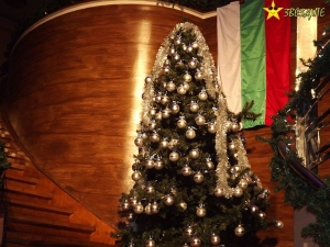 20151205 - Ротариански Коледен Бал