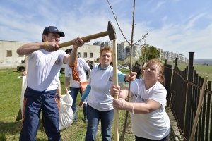 Ротарианска гора 2014