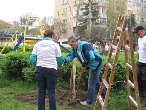 Ротарианска гора 2015
