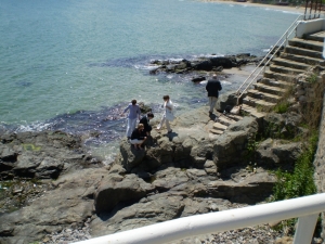 Group Study Exchange, 2008-2009