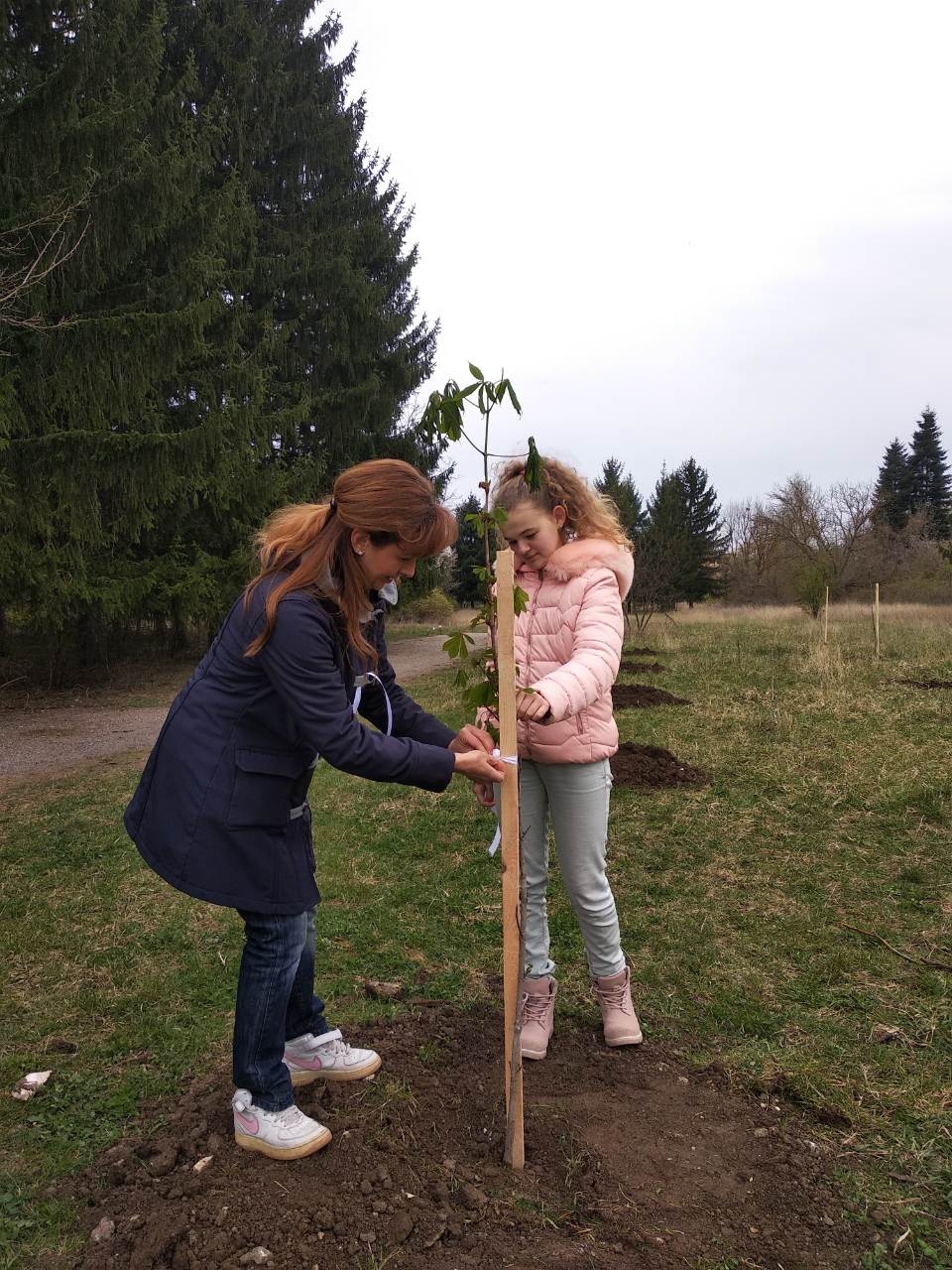 Ротарианска гора 2019