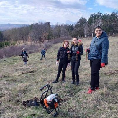 Ротаракт клуб Кърджали: 1 000 нови дръвчета  в парк Простор