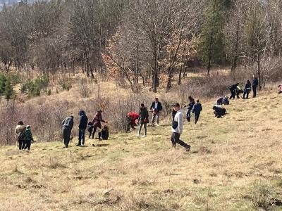 Ротаракт клуб Кърджали: 1 000 нови дръвчета  в парк Простор