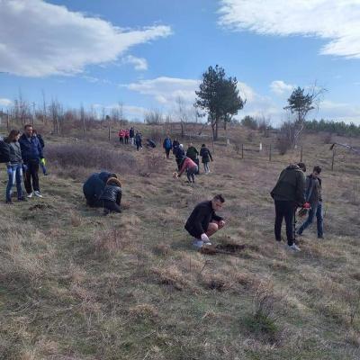 Ротаракт клуб Кърджали: 1 000 нови дръвчета  в парк Простор