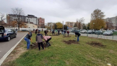 Зелено Дарение