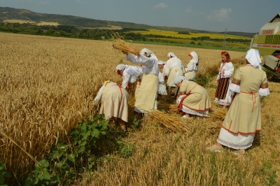 Официалната среща на Ротари клуб-Дупница с ДГ Борислав Къдреков
