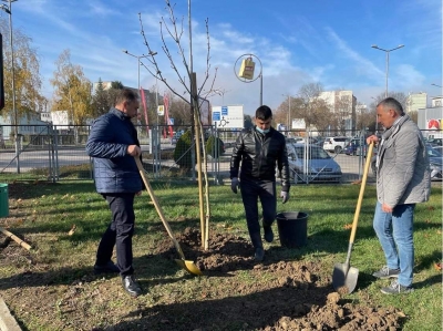Обогатяване Алеята на Ротари в парк „Казармите“ и празничен молебен и курбан за здраве