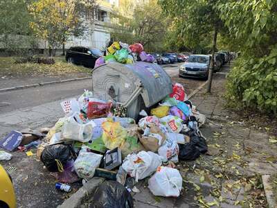 Обединени за доброто: Ротаракт и Ротари клуб София-Балкан в действие за по-чиста София