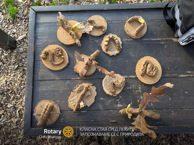 Ротари клуб Бургас започна проекта „Класна стая сред лехите – Запознаваме се с природата“