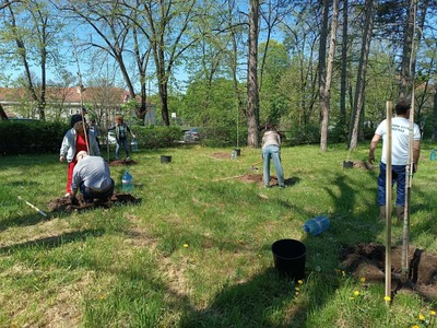 Ротари клуб – Разград продължава традицията за обновяване на зелената система на град Разград