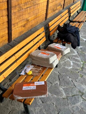 Доброто разцъфтя в „Грижовник“: Ротари клуб Бургас създаде външно пространство за социална градина за хора с деменция