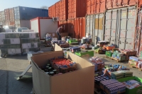 РК Варна-Евксиноград и английската фондация "Bulgarian Aid" 		доставиха и дариха  13 тона помощи с хранителни продукти и медицински 		материали за Домове и кухни за стари хора и нуждаещи се в град Варна.