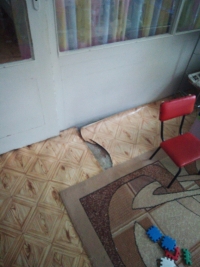 ПО-ДОБРО ЗДРАВЕ ЗА НАЙ-МАЛКИТЕ